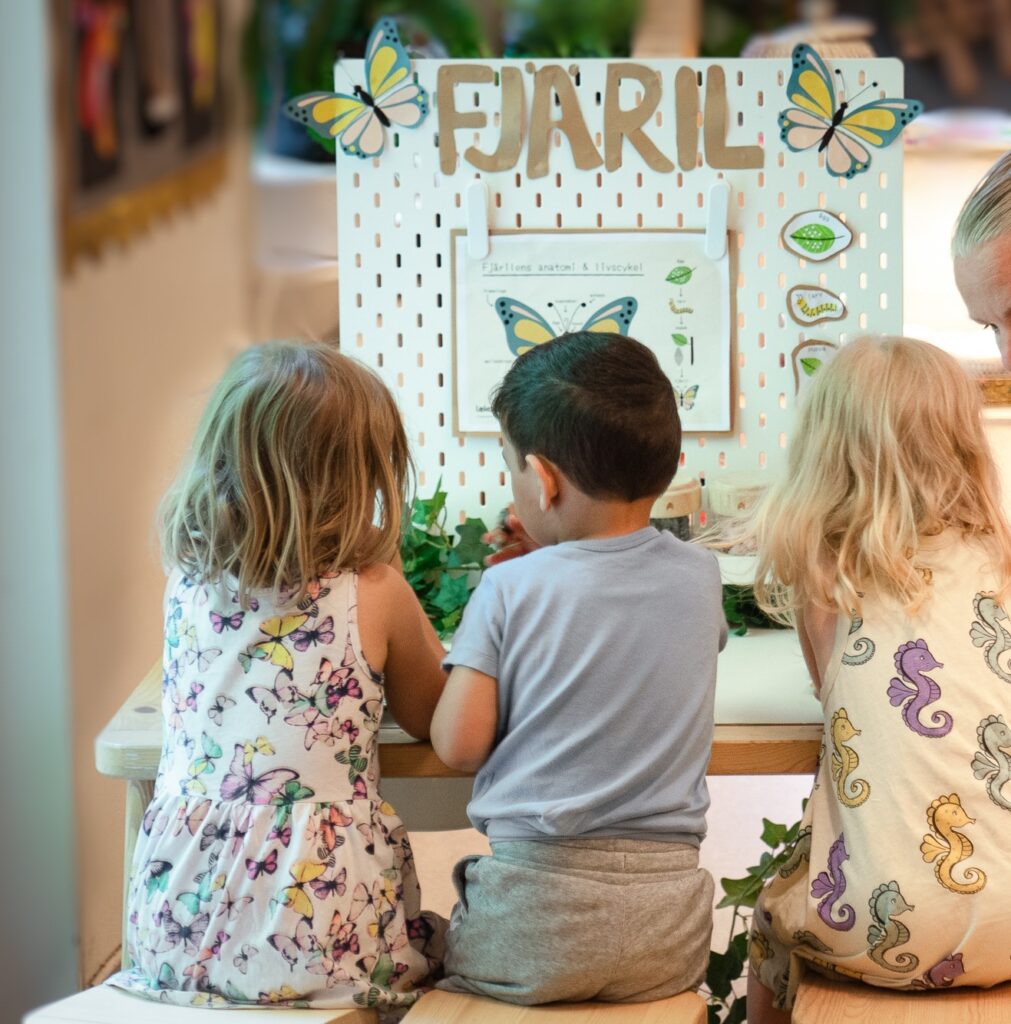 Tre förskolebarn jobbar tillsammans med sin pedagog kring ett projekterande arbete om fjärilen